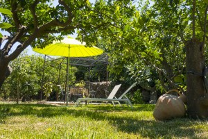 CasaReginaPacis - Il giardino 